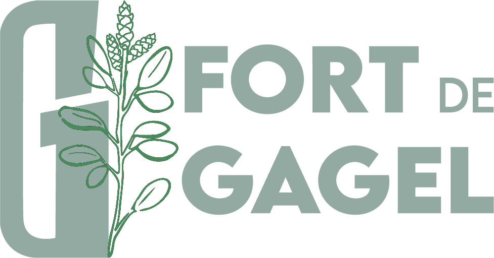 Logo Fort de Gagel